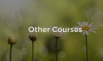 Other Courses